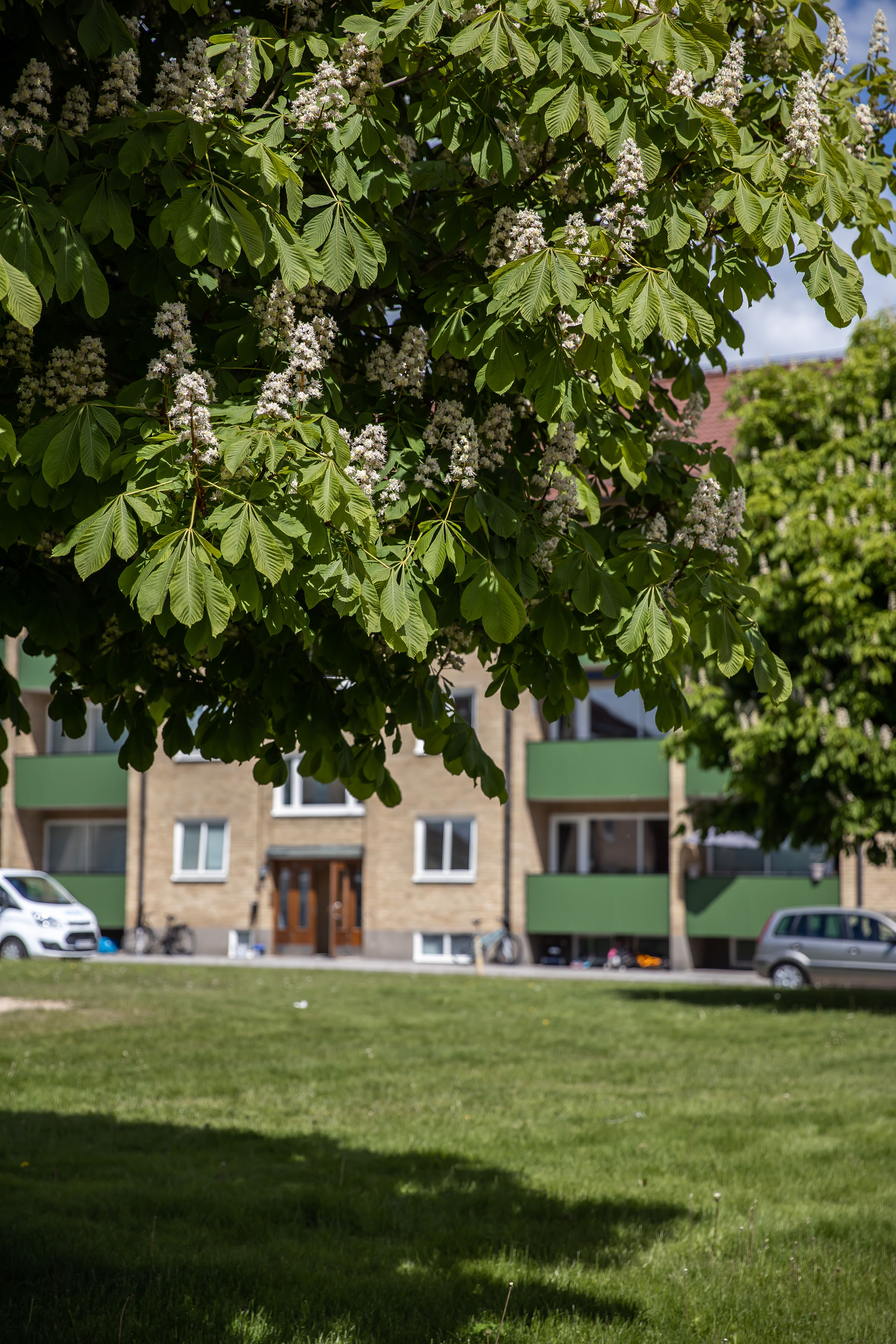 Östra Torget 1 B, 341 38, LJUNGBY