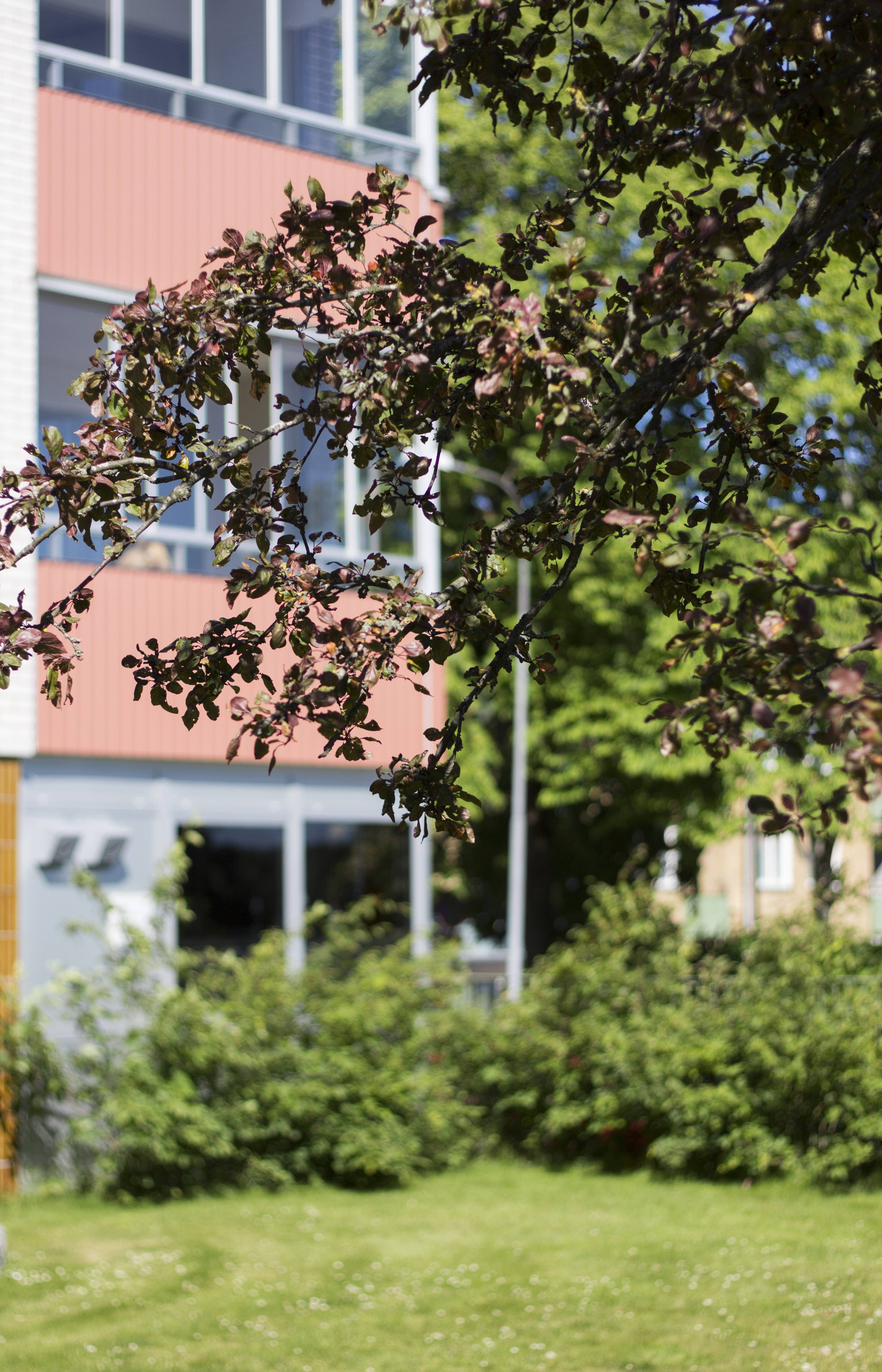 M Ljungbergsv 8, 341 35, LJUNGBY 3